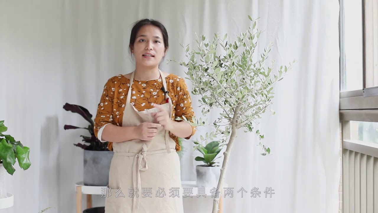 明明可以靠顏值，卻偏偏還要“壓榨”自己