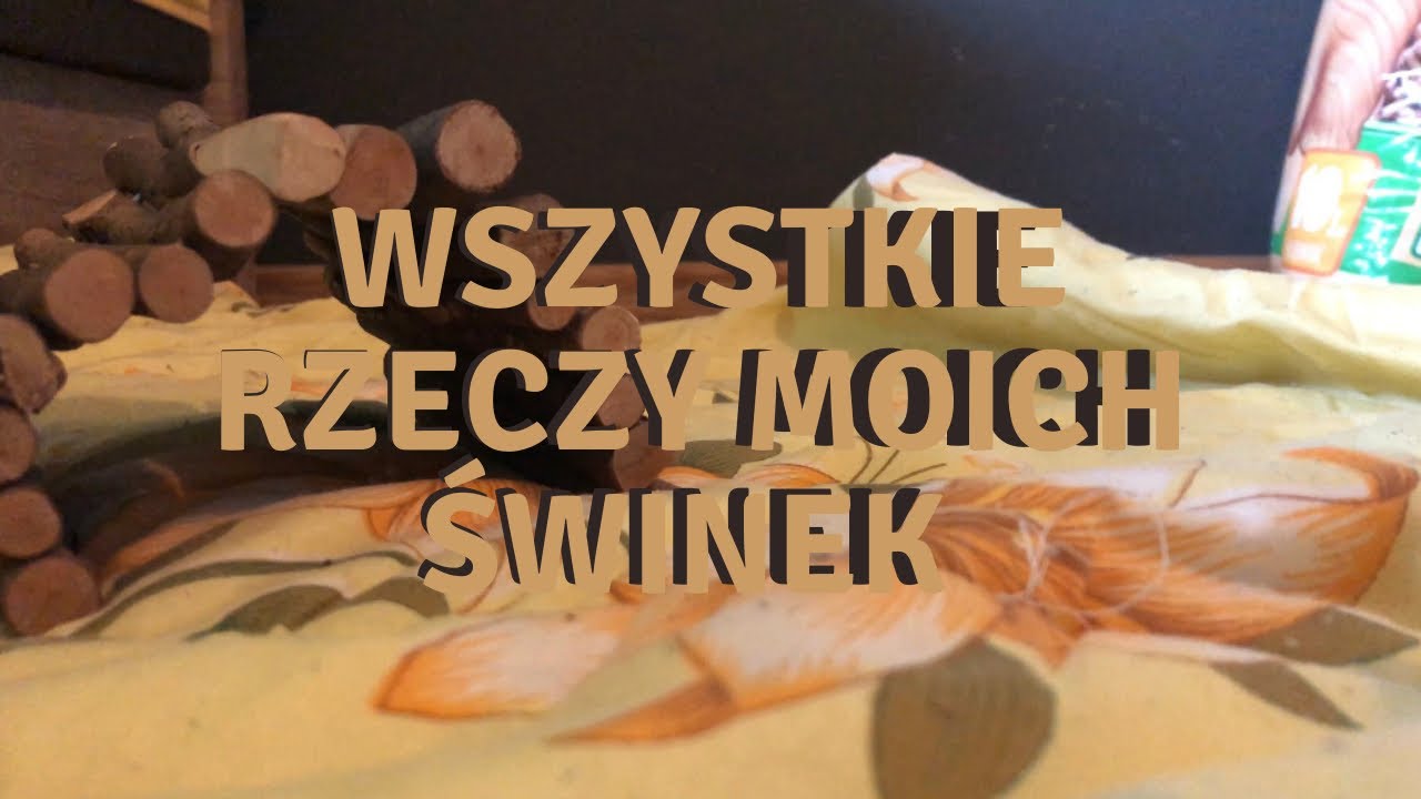 wszystkie rzeczy moich świnek I prosiaczkowo 🤎