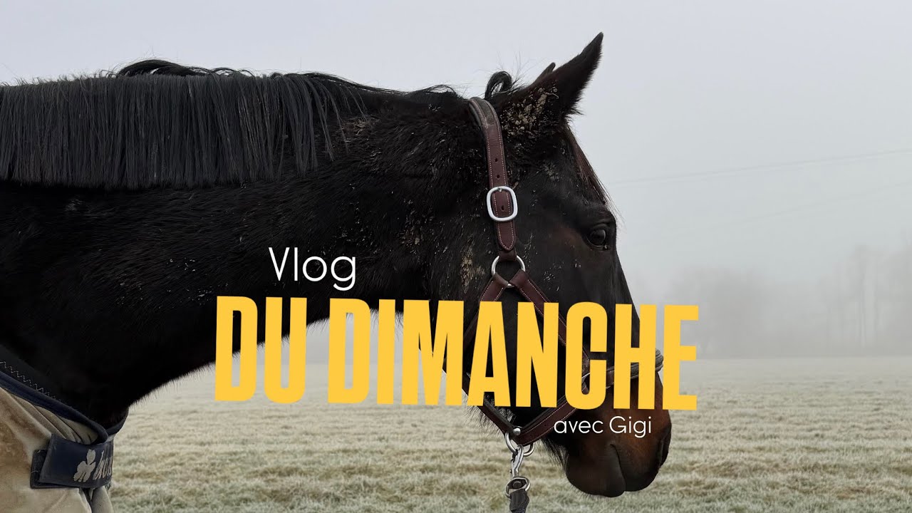VLOG DU DIMANCHE
