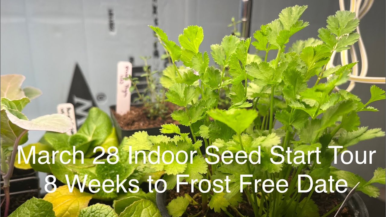 March 28 Indoor Seed Start Tour - 8 Weeks to Frost Free Date