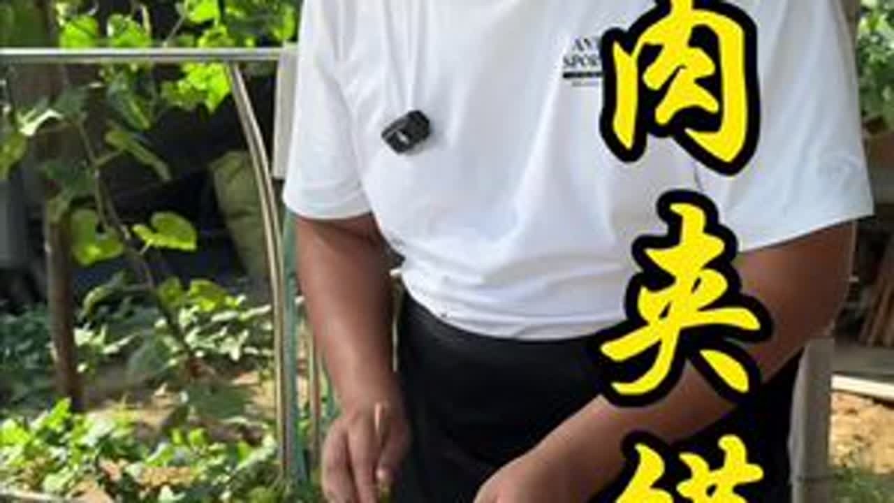 今天做了肉夹馍，饼烙得外酥里软，肉炖得烂乎乎的，夹在一起吃着特香 #农村美食 #家庭版肉夹馍 #记录我的农村生活