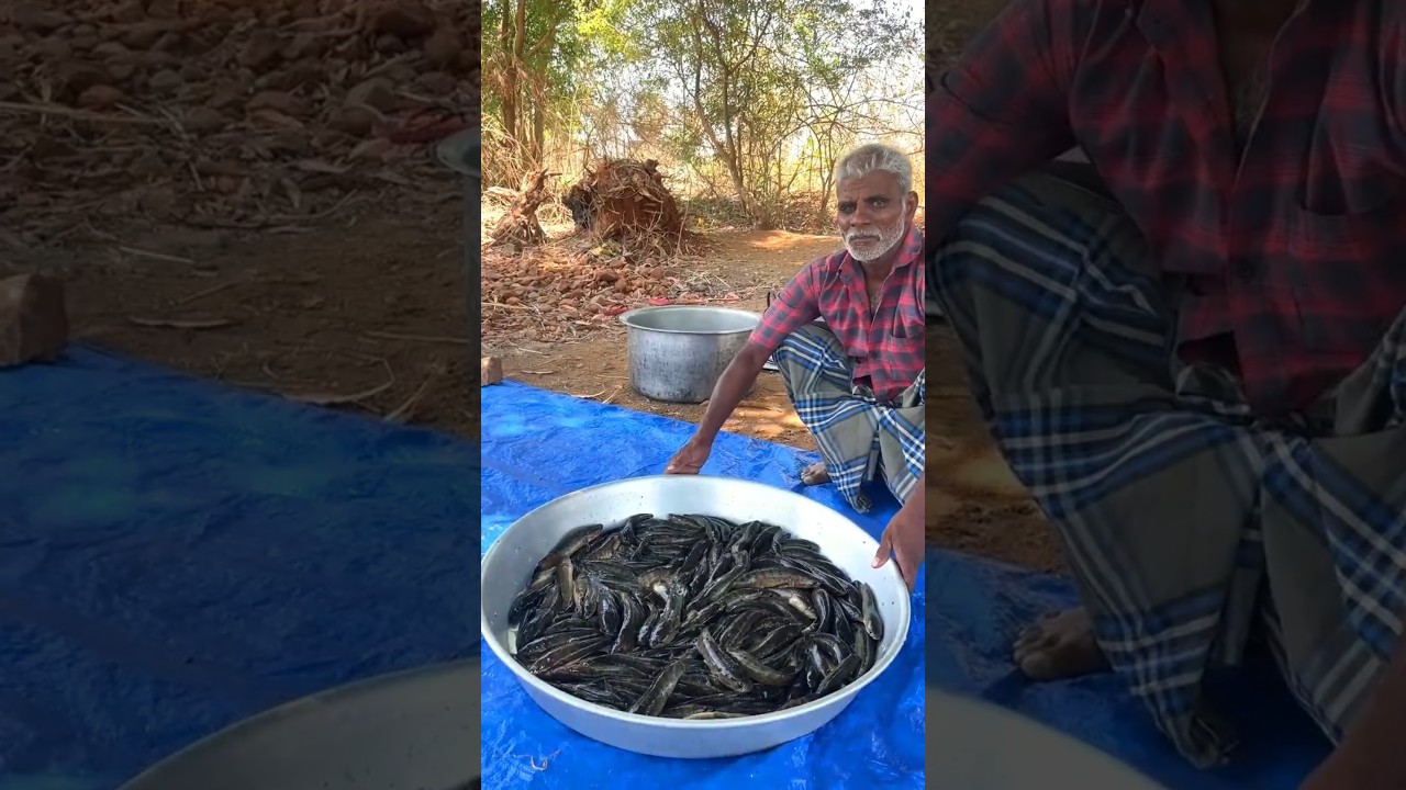 River Fish Fry | Snakehead Fish Cleaning and cooking | Food fun village 