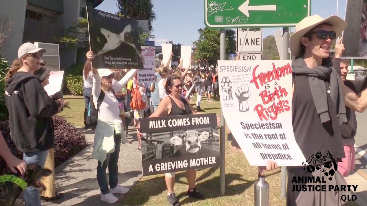 World Day To End Speciesism MARCH - Gold Coast 2017
