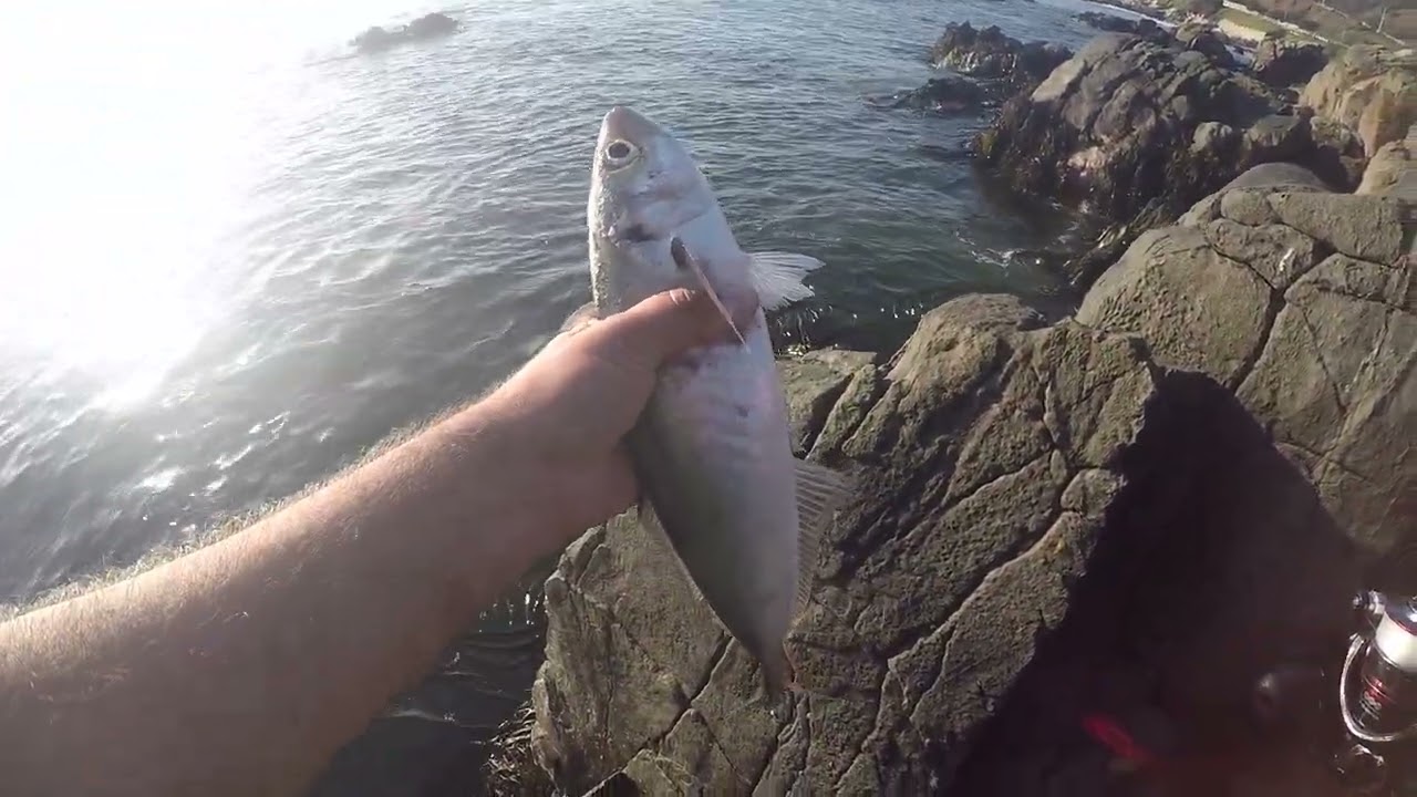 Pesca UL en rocas.
