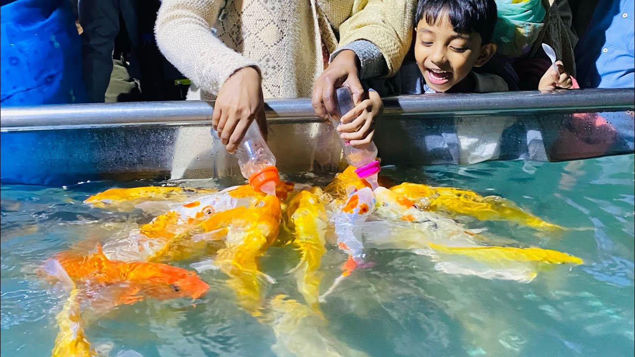 Radiant Fish World Coxbazar
