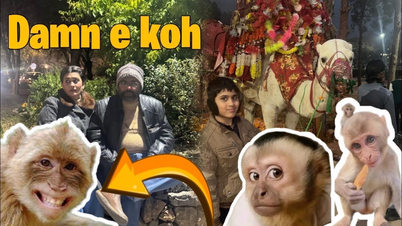 Daman-e-Koh Mein Dil Khush Ho Gaya Lekin Bandaroon Ne Jeena Mushkil Kar Diya 🐒|farah ka aangan 
