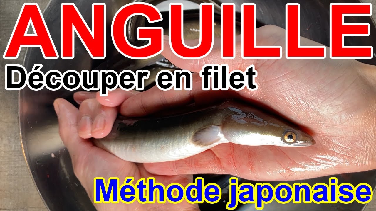 Découper poisson, Anguille!, Méthode japonaise!