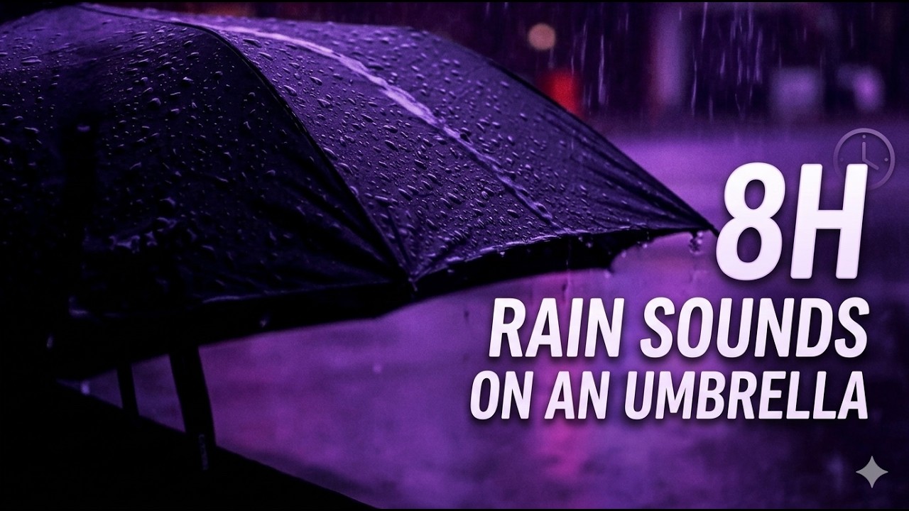8H Rain Sounds on an Umbrella 🌧️ Relaxing Rain Noise for Sleep, Study & Deep Relaxation