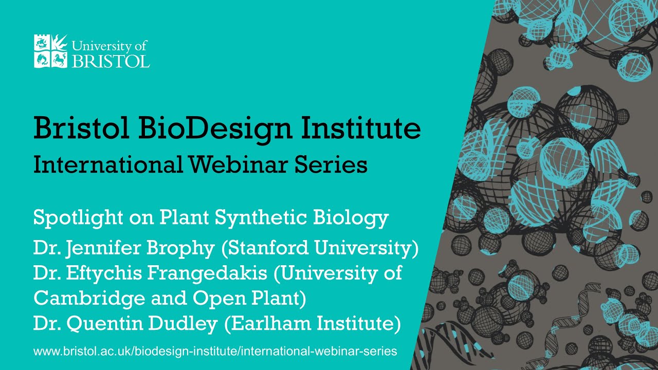 BBI International Webinar Series - Spotlight on Plant Synthetic Biology