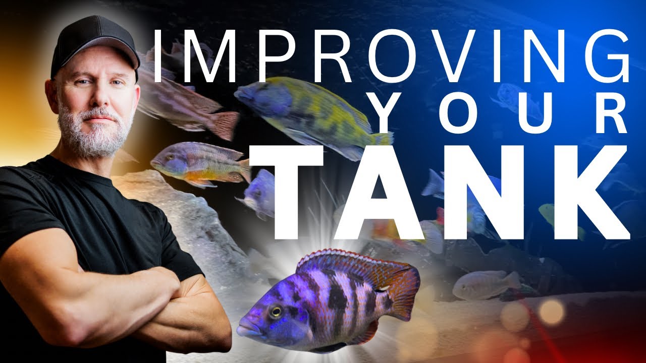 How To Make Your Aquarium LOOK BETTER