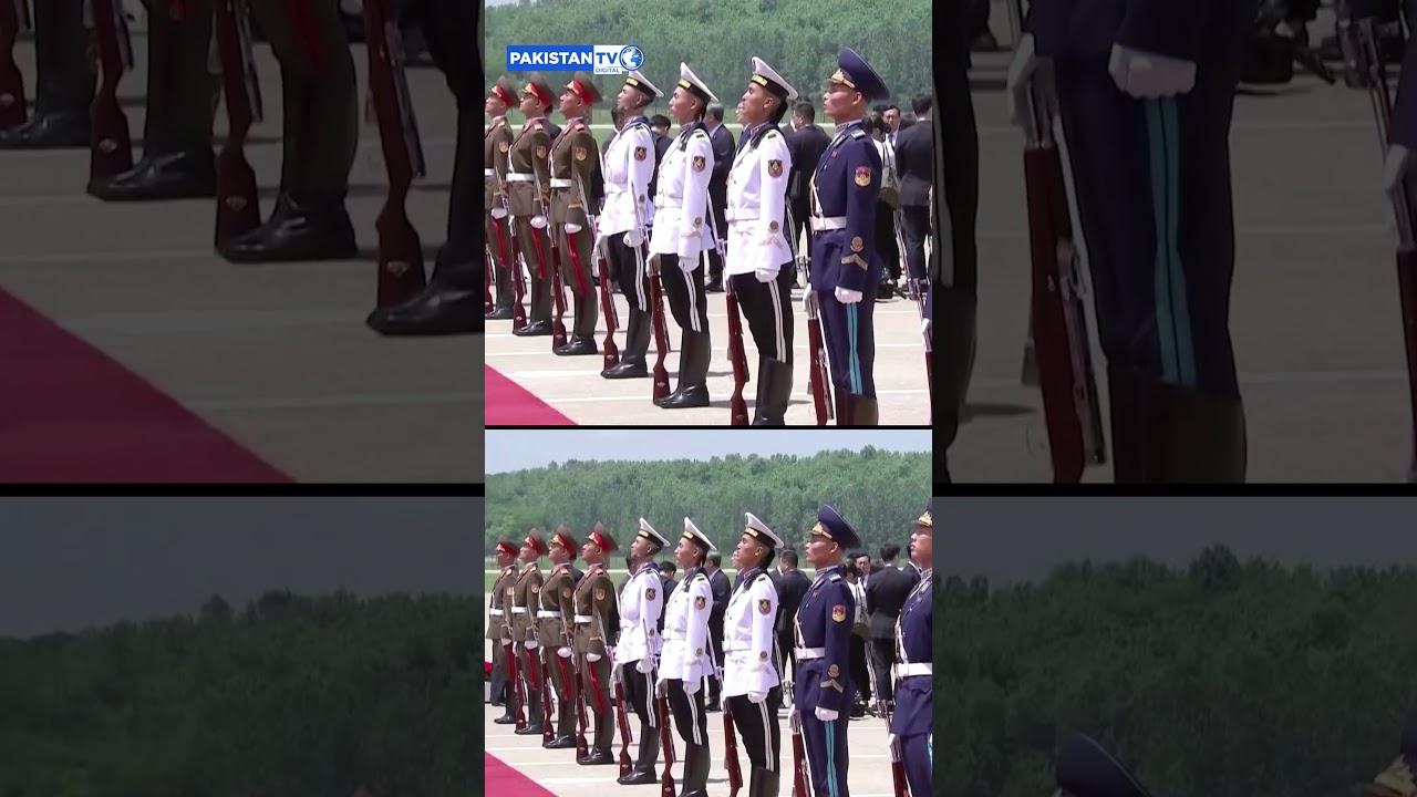 China's Xi lands in North Korea for rare visit