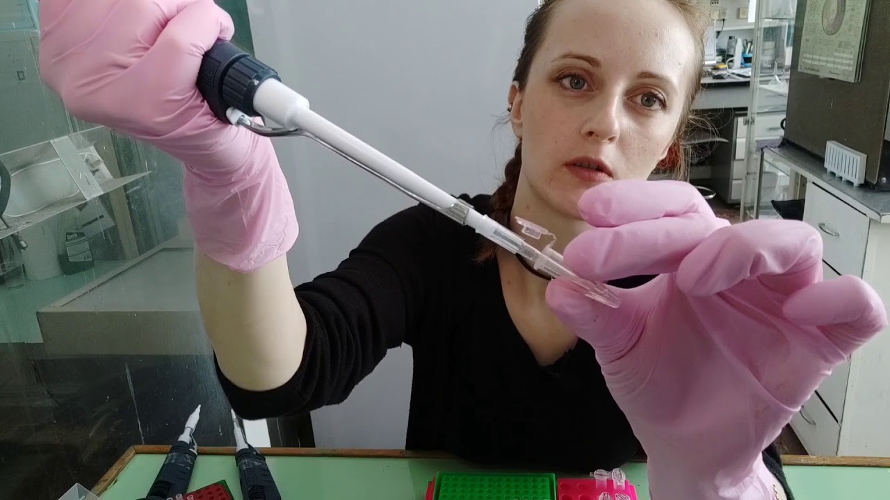 Полимеразная цепная реакция (ПЦР) для детектирования ДНК. Ирина Позднякова-Филатова. МГУ в Пущино.