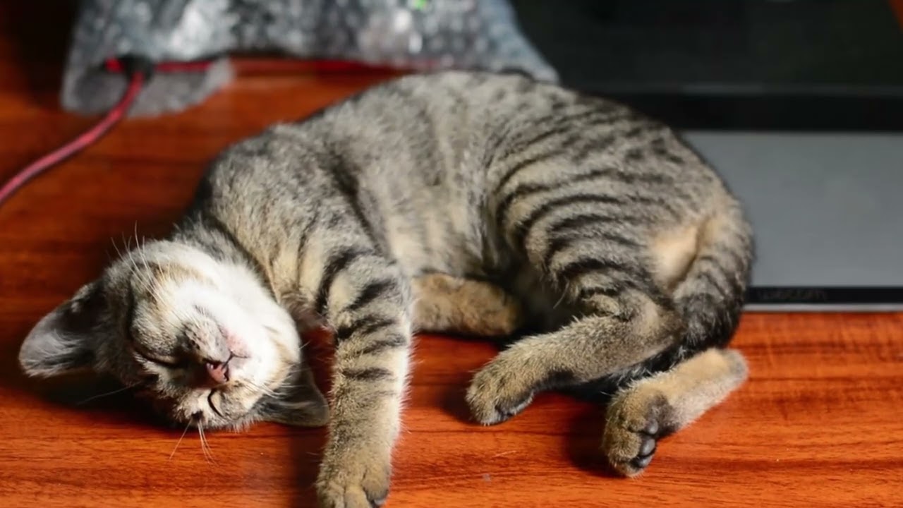 das beste meines Lebens  version 3