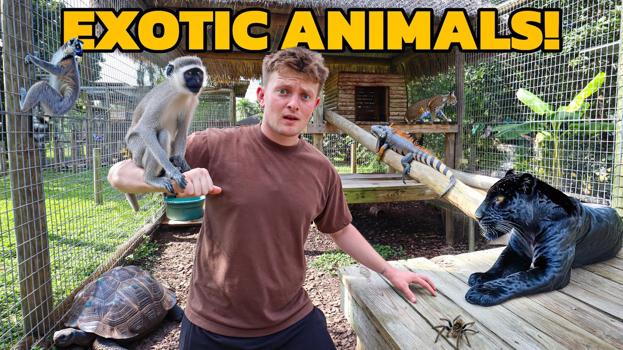 TOURING A MULTI MILLION DOLLAR BACKYARD ZOO! *INSANE*