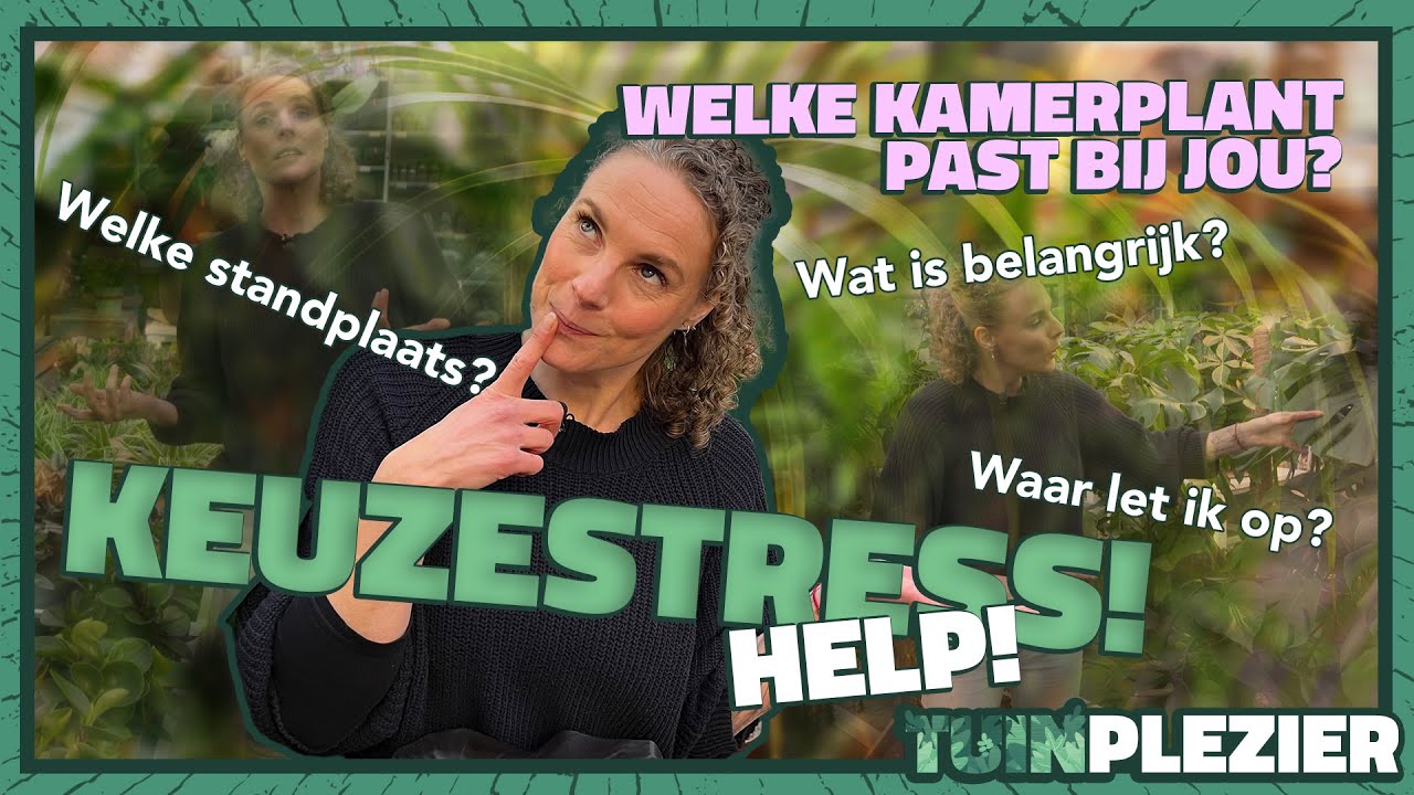 HELP!! Waar let je op bij het kopen van een nieuwe kamerplant? ☀️💧| Tuinplezier 🌱