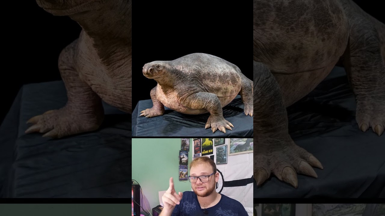 Sinaps&iacute;deos Gigantes #dinosaur #shorts #animals #explore #curiosidades