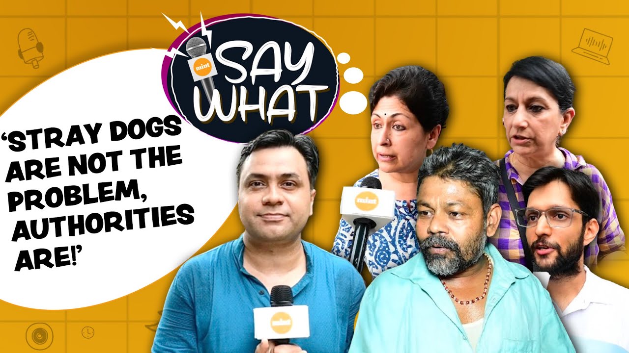 Delhi Stray Dogs case: Citizens Blame Governments For Safety Issues | Supreme Court Reserves Order