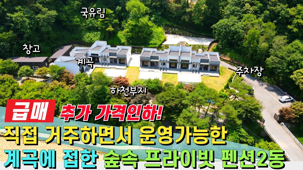 (급매) 추가 가격인하! 계곡에 접한 숲속 프라이빗 펜션 2동~ 넓은 하천부지 추가 사용! 직접 거주하면서 운영 가능한 펜션! - 힐링하우스TV (강원도 홍천군)