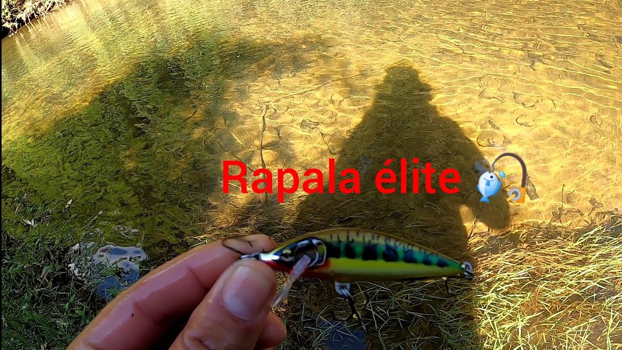Rapala élite / conociendo nuevos ríos 🎣💪 @Rapala