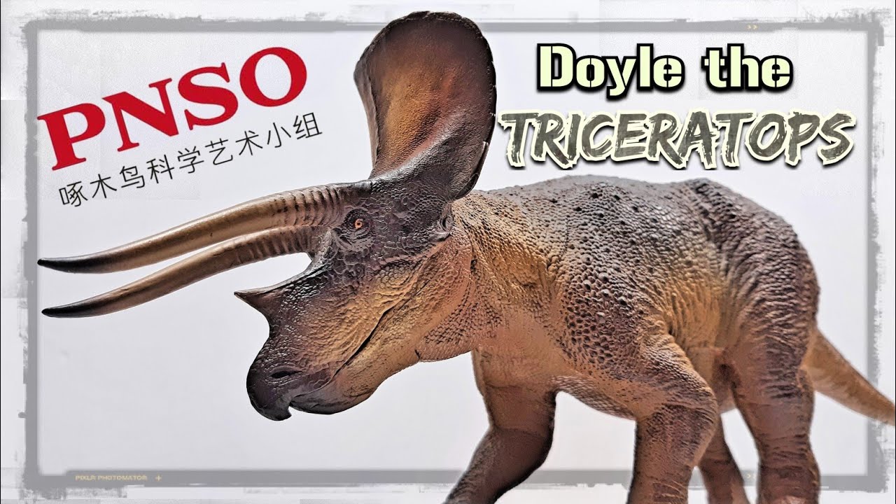 Обзор PNSO Дойла Трицератопса 2021 года!!! Музейная серия!!!