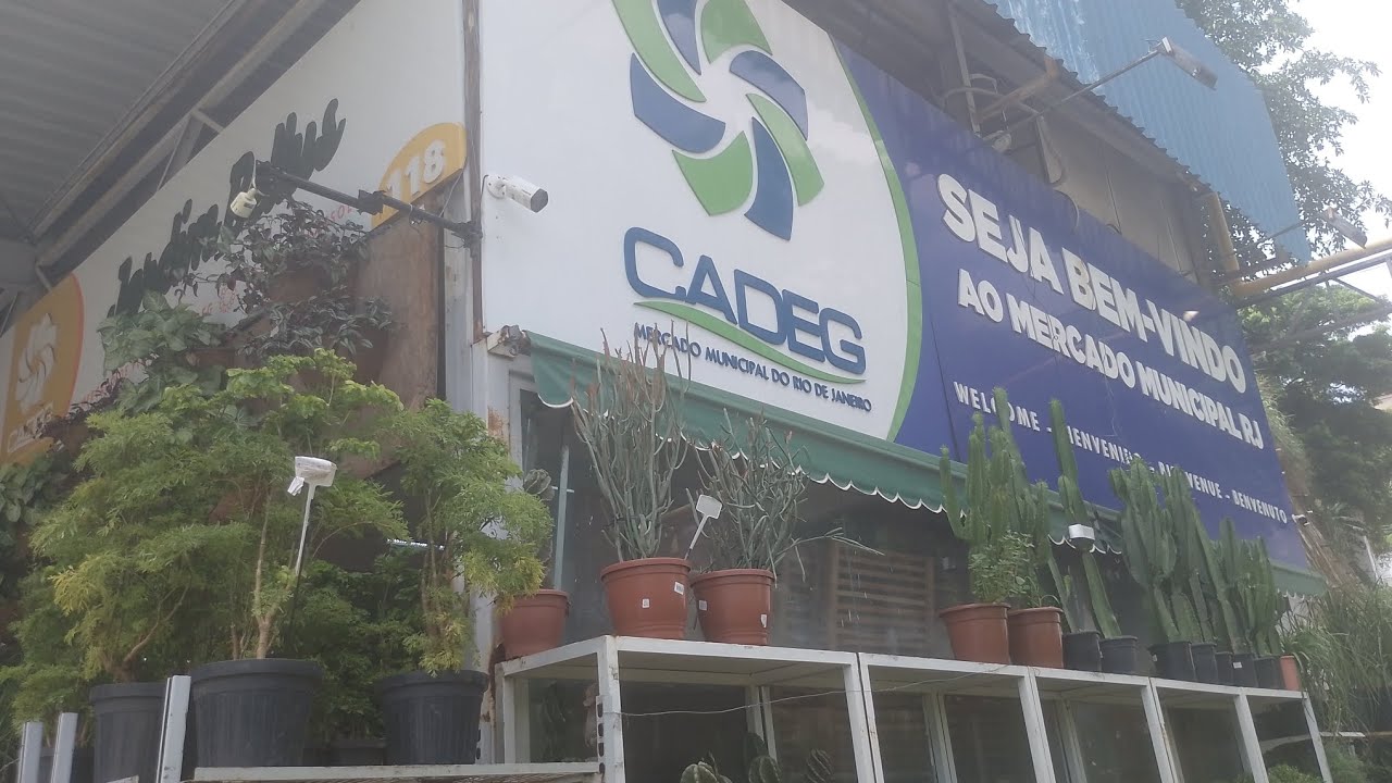 #plantas incrível no CADEG Mercado municipal do Rio de Janeiro 