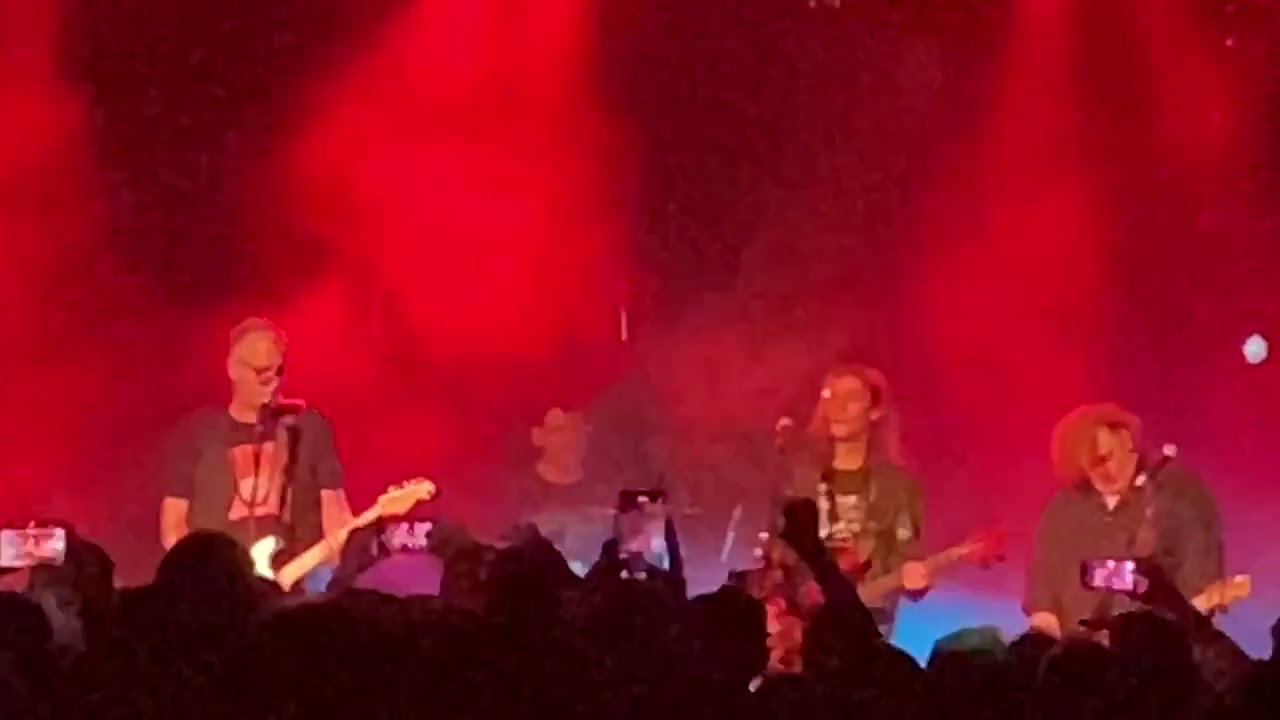 Električni orgazam - Zlatni papagaj (live 7.12.2024. Dom omladine Beograda )