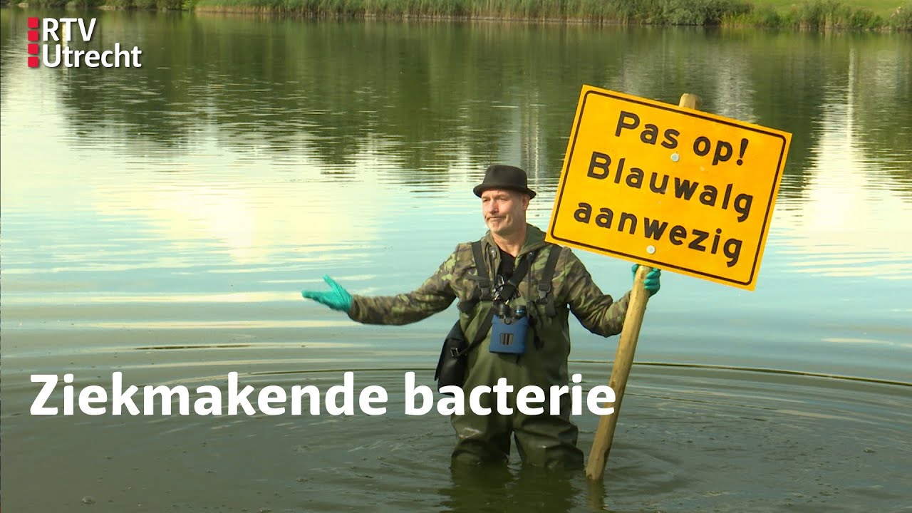 Natuurlijk Zoëy over de blauwalg | RTV Utrecht