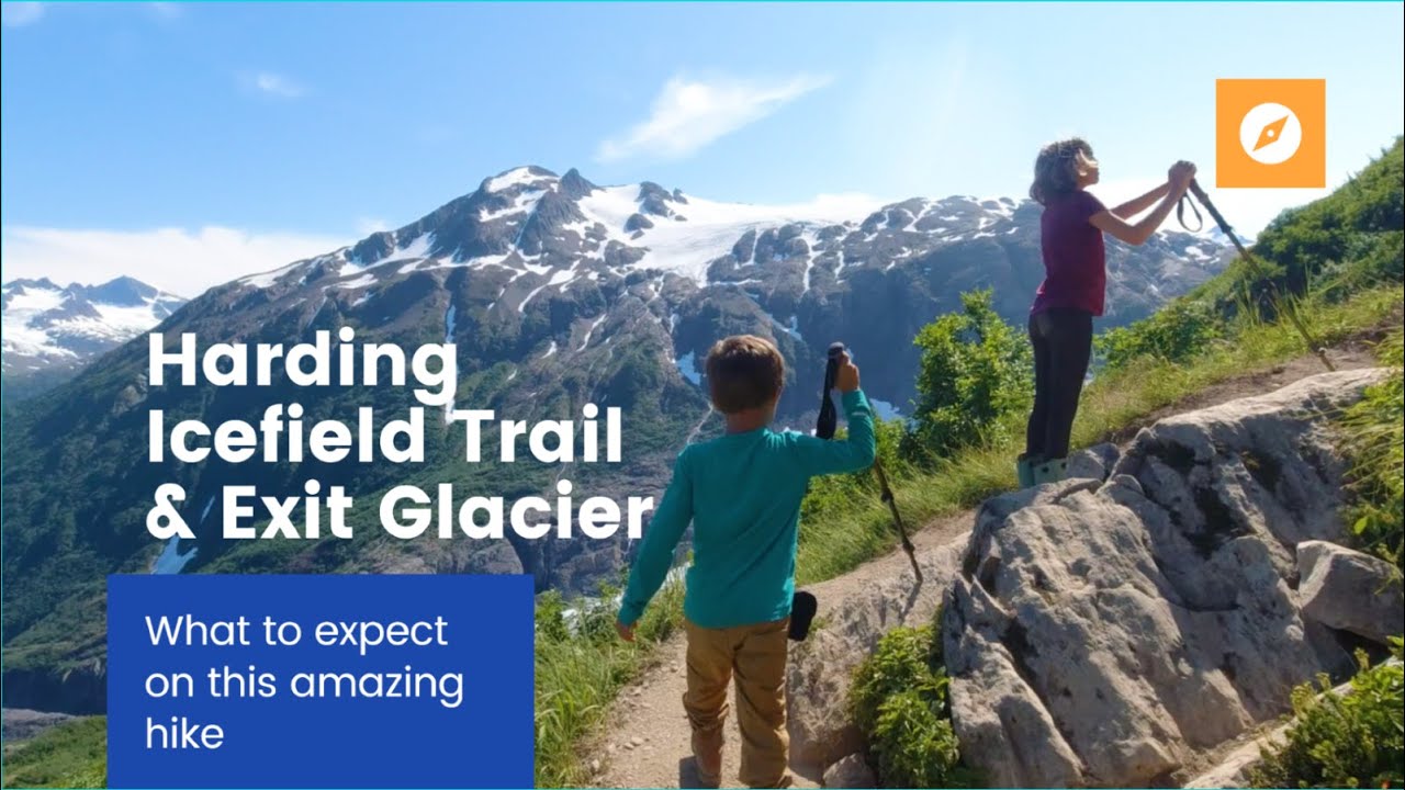 Hiking Harding Icefield Trail at Exit Glacier Alaska