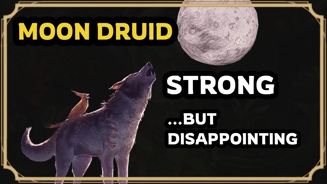 Moon Druid 2024 is NUMERICALLY strong
