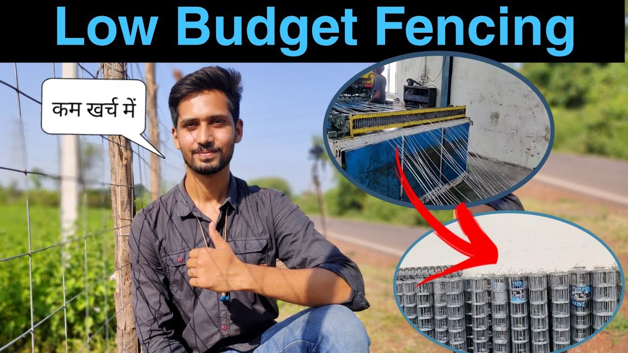 ₹1200 में 100 फीट जाली तार। कम खर्च में खेत की सुरक्षा। Low Budget Fencing। सस्ती जाली तार खेत घेरने