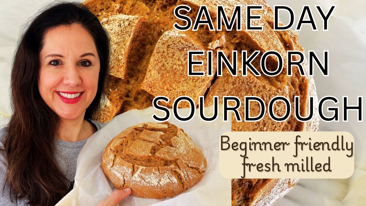 Same Day Einkorn Sourdough Bread with Fresh Milled Flour (Beginner Friendly)