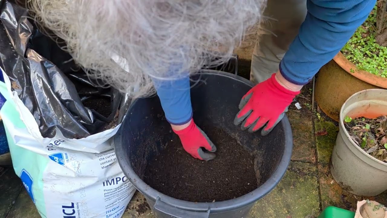 Is it too early for earlies?