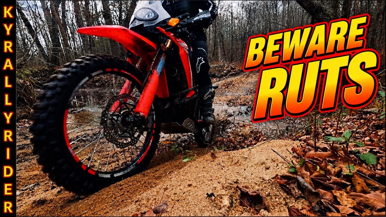 Land Between the Lakes FSR 318 - Honda CRF300L Rally