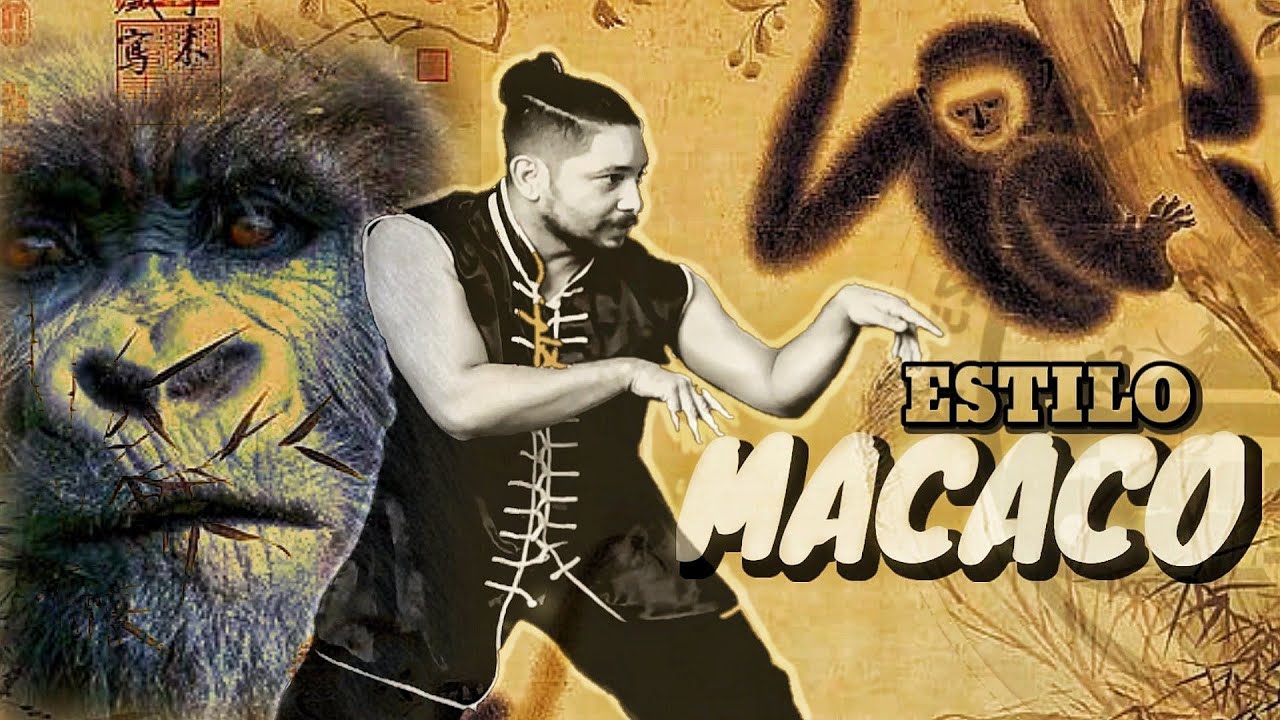 Estilo Macaco do Kung Fu e suas Aplicações Reais