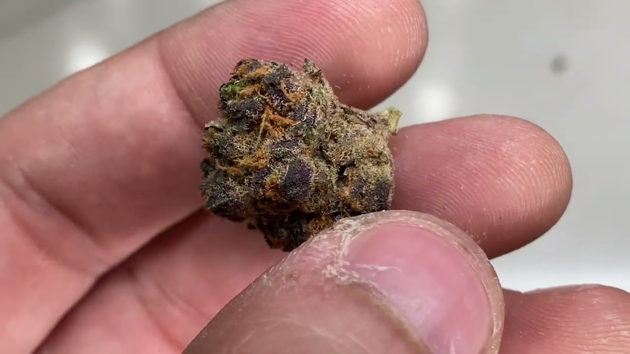 Cookies Grandaddy Pluto Review