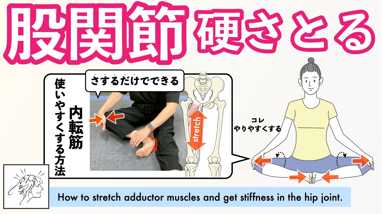 【股関節硬い】内転筋ストレッチして股関節の硬さをとる方法｜合蹠ストレッチのコツ