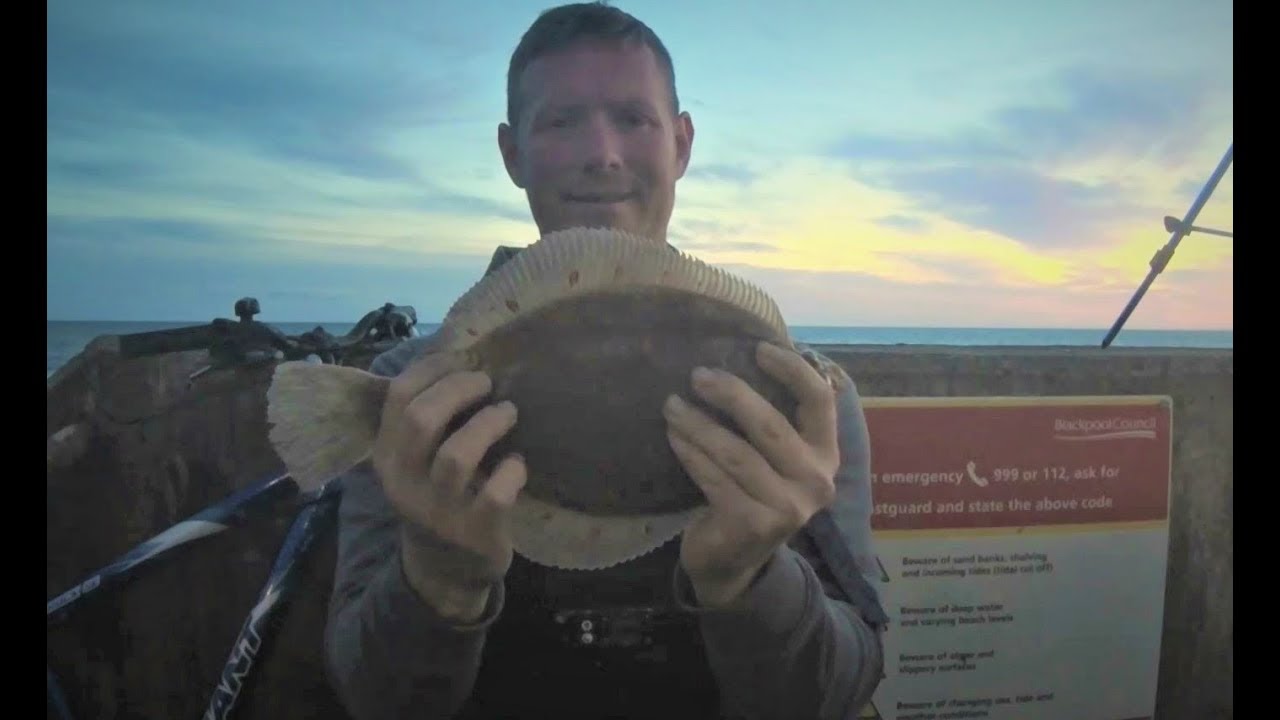 blackpool fishing gynn wall 28/05/19 pb plaice