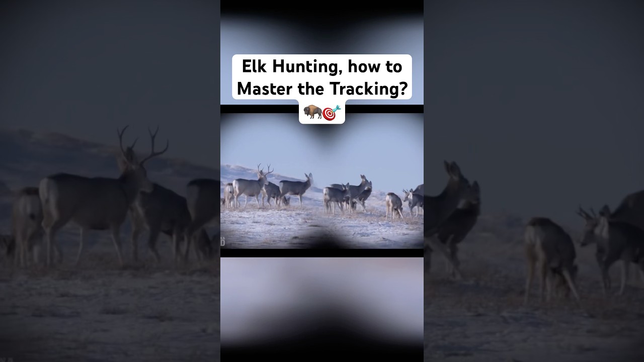 Охота на лося 🦬: справится ли винтовка с этой задачей? 🎯 
