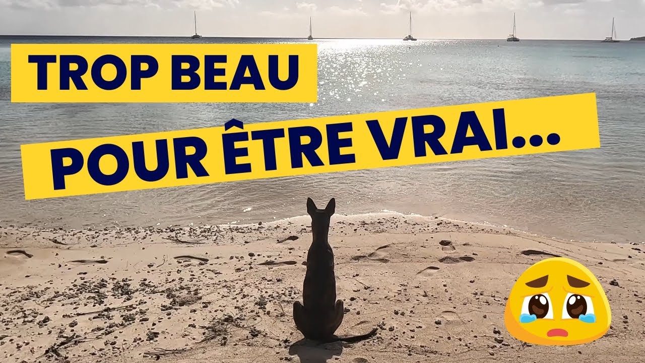 20 ans plus tard à Toau... L'histoire était trop belle pour être vraie Ep.52