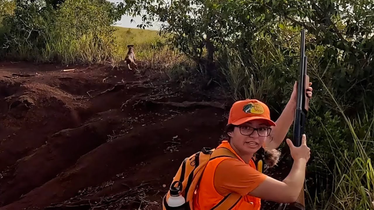 Kokee Bowl Hunting Unit L Bird Hunt 2025