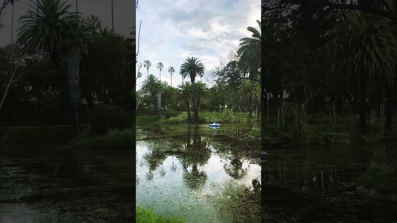 Domingo en Parque Rodó - Montevideo 