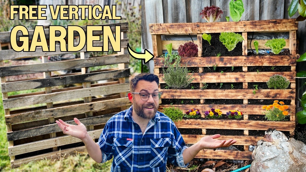 Превратим бесплатный деревянный поддон в стену для овощей.