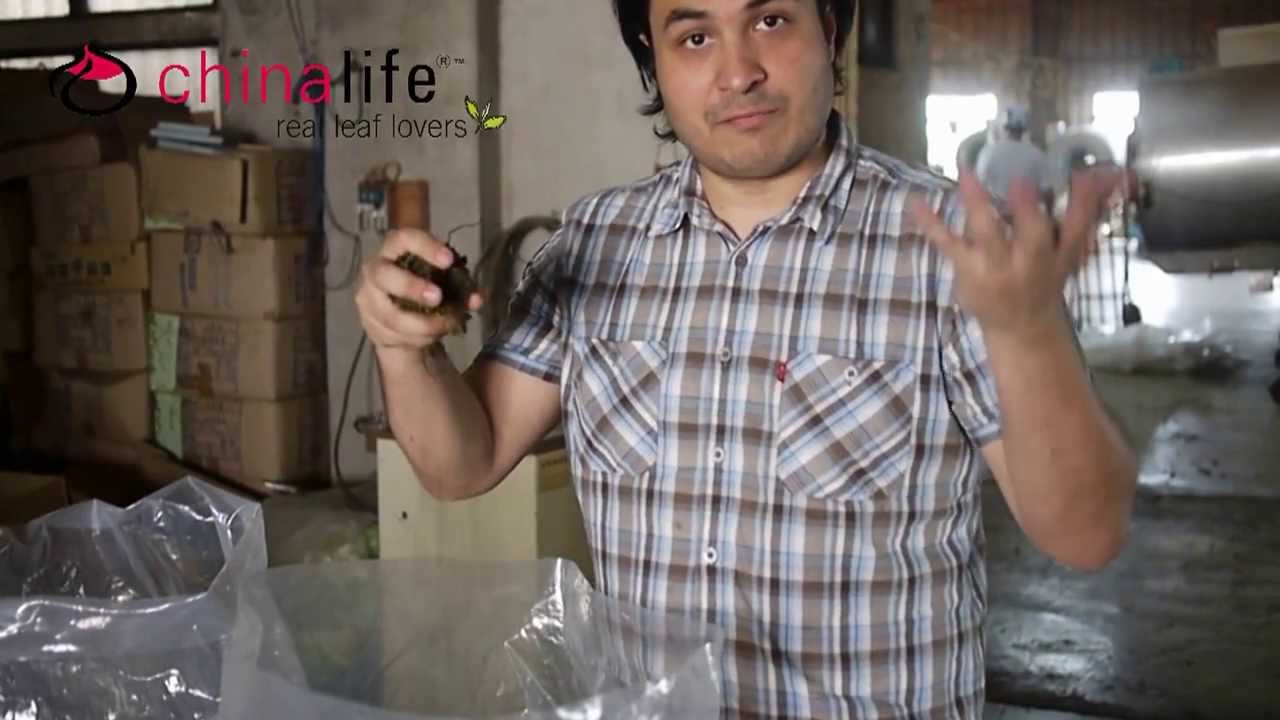 Real Loose Leaf tea vs Tea Bags