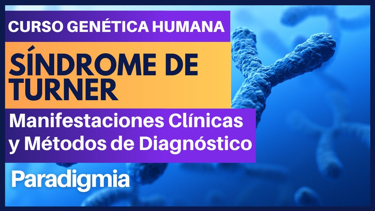 Síndrome de Turner | Explicación Genética y Cómo Diagnosticarlo 🧬 Curso de Genética #003