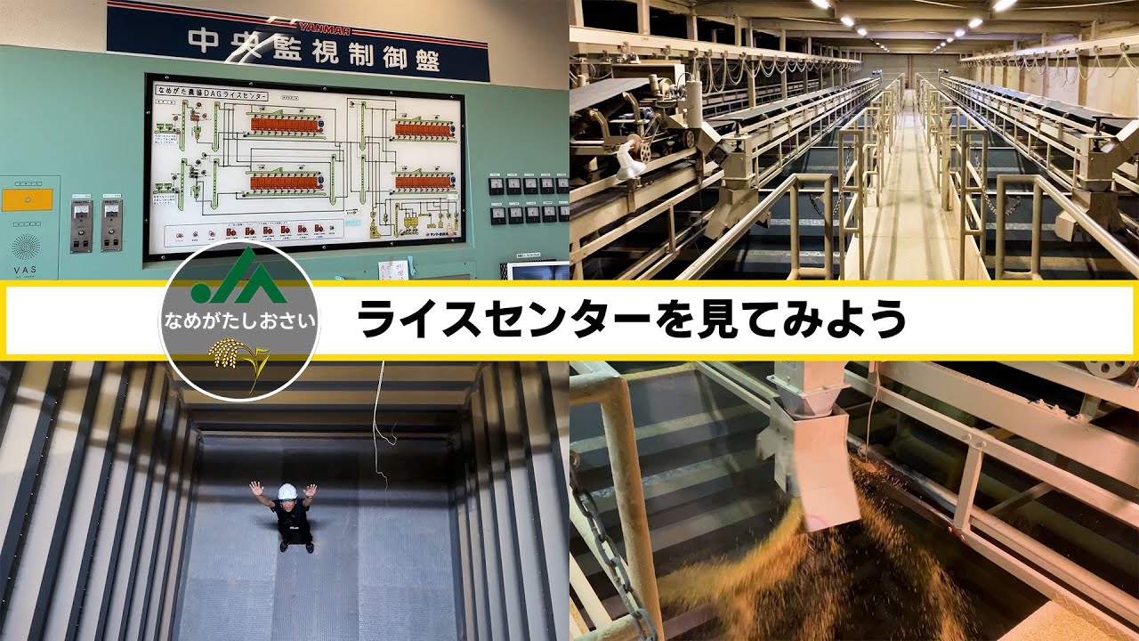 《常温定湿乾燥》ライスセンター ～JAなめがたしおさいの美味しいお米ができるまで～
