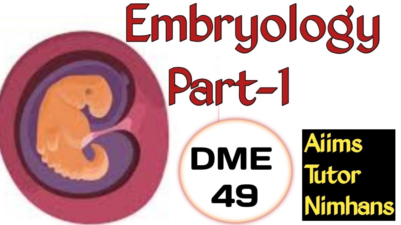 Embryology|OBG Part-1|Basic Points For Exam|DME video-49|Kerala Psc|Aiims|Nimhans|Nursing Tutor