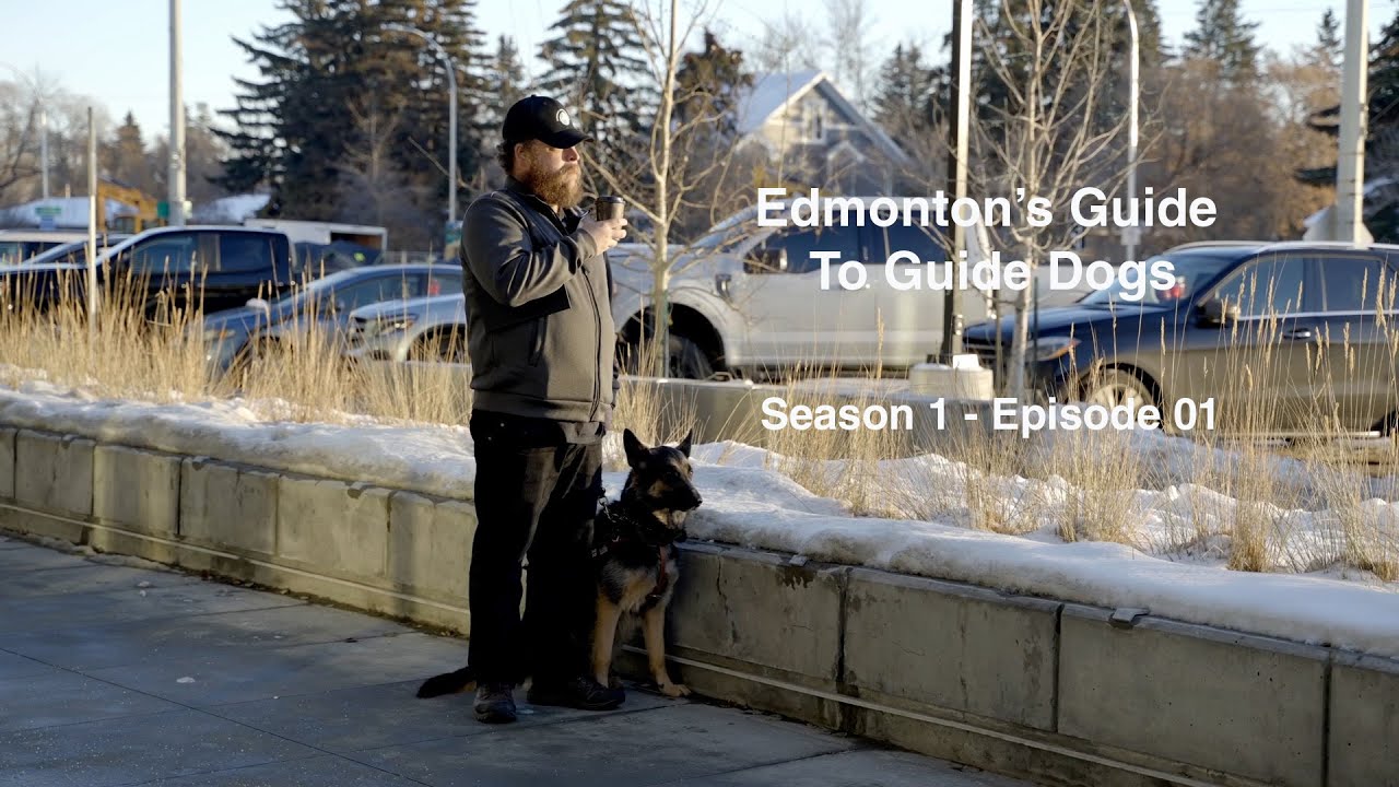 Edmonton's Guide To Guide Dogs S1 Ep 01