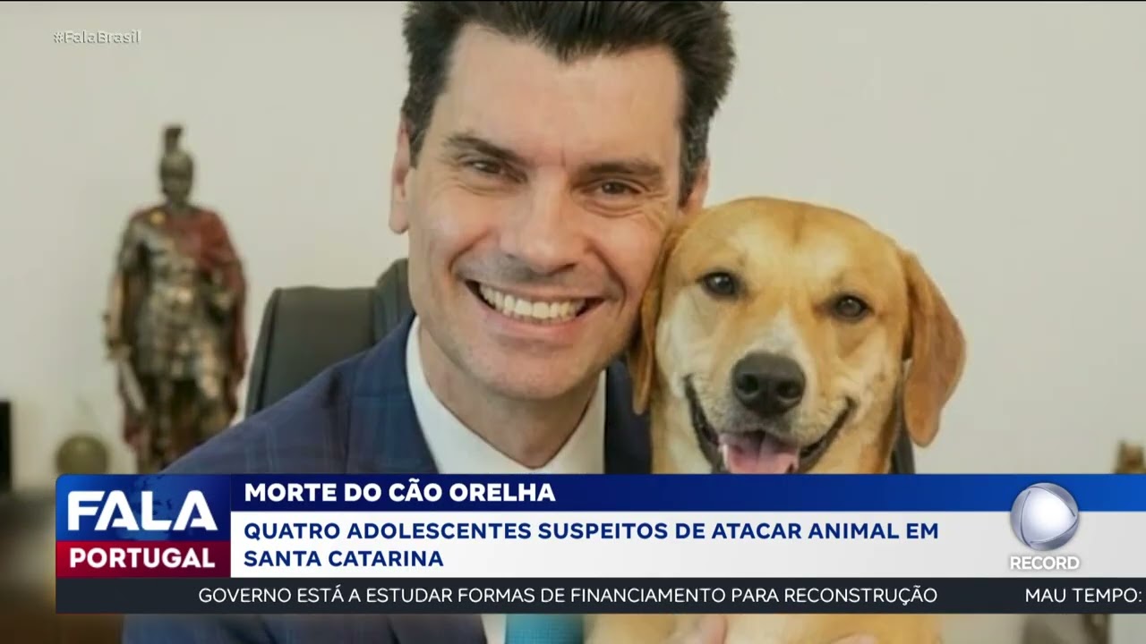 Morte Cão Orelha