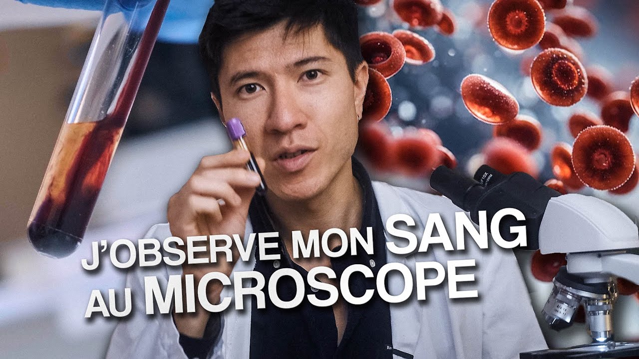 J'observe mon sang au microscope ! Avec @Morgan Lechat - monsieurlechat