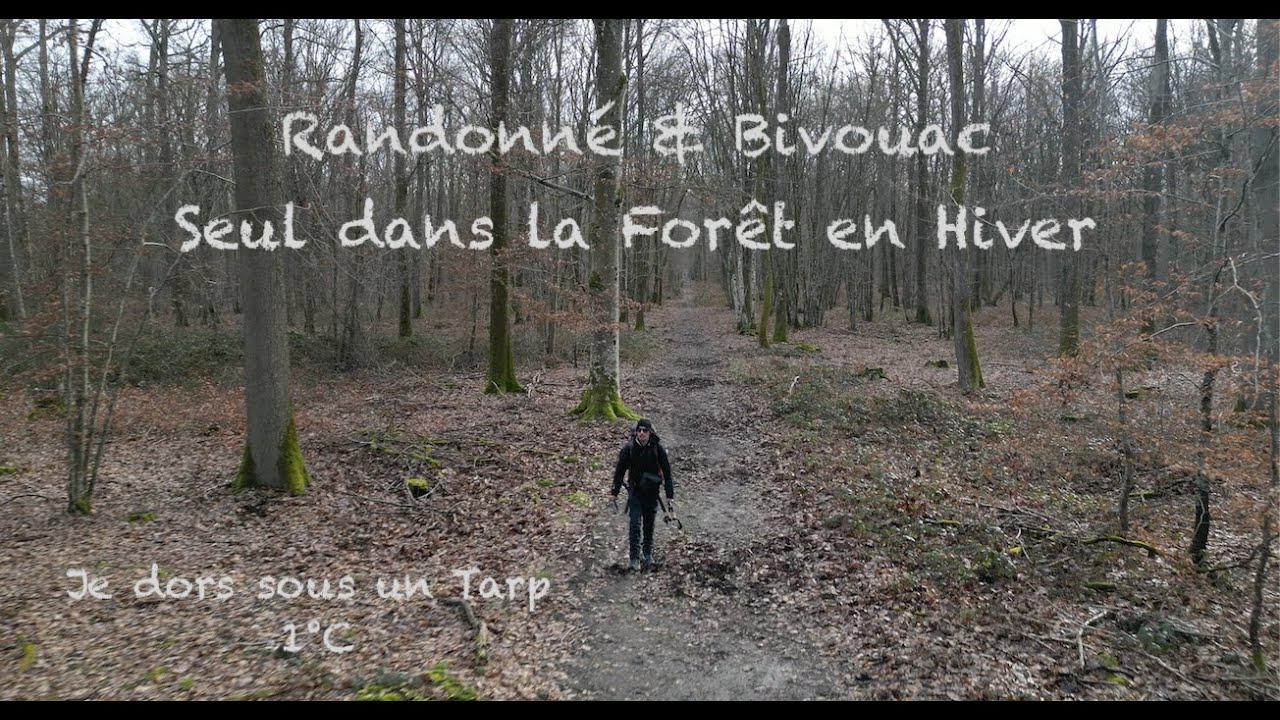 Bivouac Seul en Forêt sous un Tarp en Hiver ( ASMR )